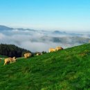 한울목장 이미지