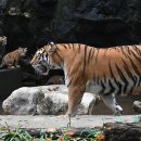 나라와우리 이미지