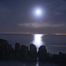 하루 종일 들어도 질리지않는 노래 모음 이미지