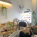 달구벌 살롱 | 나만의 힐링공간을 선사하는 대구 달서구 헤드스파 후기! by 살롱드부래미범어점 준녕
