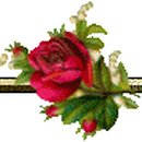 바니주단 Daum카페