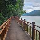 장성옐로우시티명화푸드 | 🏞광주근교 가볼만한곳, 장성 명소, 장성댐(장성호) 및 출렁다리