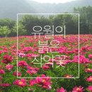 국제허브아카데미 이미지