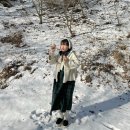 재림목장 | 강원도 대관령 양떼목장 예약 버스시간 포토존 안 읽고 가면 손해봄