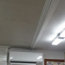 애견일번지 이미지