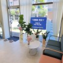 에스테틱도도