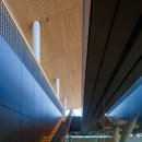 Nikken Sekkei's Ariake Gymnastics Centre celebrates timber construction 이미지