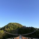 보운가든 | 연차쓰고 다녀온 포천 당일치기 여행 후기 / 내돈내산 맛집 정보 / 국립수목원 / 한탄강 Y형 출렁다리