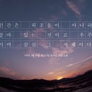 홍익서적 Daum카페