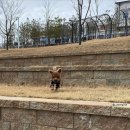 오테힐 게스트하우스 이미지