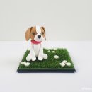 기억할개 이미지