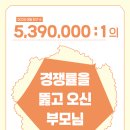 포키즈주니어 어린이집 이미지