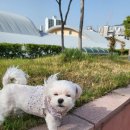 휴플러스약국 이미지