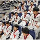 즐거운 태권도 아카데미 이미지