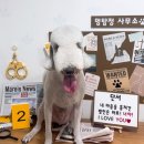 멍스베리 이미지