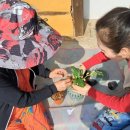 안성시농업기술센터 이미지