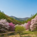 목련어린이공원 공중화장실 | 서울 3월 여행 2박3일 완벽 코스, 지금 가기 좋은 봄 꽃구경 명소부터 현대 문화까지