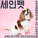 세인샾 | 2018 일본 도쿄 인터펫박람회 현장