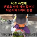 오동지 이미지