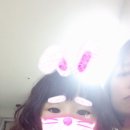 파마38