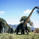 브라키오사우루스 이미지