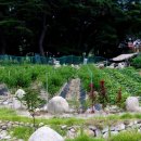 수승대임정은가든 이미지