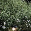 노두길민박 이미지