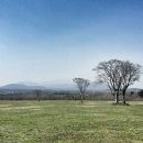 새싹목장 이미지