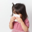 필라테스C 이미지