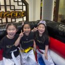 호랑이들 태권도장 이미지