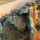 금정-화창한 날의 이미지