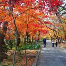 금강공원2 이미지