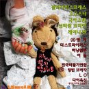 고고팩토리 이미지