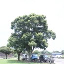 거보식당 이미지