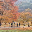 종로-현장-종로-세-282 이미지