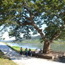 새마을로 이미지