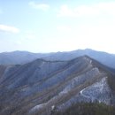 복내택시 Daum카페