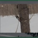 죽산 농촌체험 휴양마을 이미지