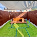 마이펫 애견 미용 이미지