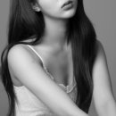 293사진관 이미지