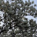 선산대로5-3 이미지