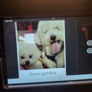 카페빈스 이미지