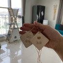 폴캣 | 고양이 캣타워 자작나무로만든 고양이 놀이터!