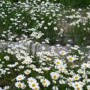 옥정호 황토민박 이미지