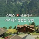 동신푸른마트 | 스위 융프라우 VIP 패스 2일권 코스 추천 | 융프라우 옷차림, 날씨 꿀팁, 피르스트, 글라이더, 하더...