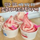 증도소금박물관 | 전남 신안 증도 가볼만한 곳 태평염전 소금아이스크림가게 가격 위치 맛 편의점 후기