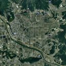 금곡지 | [경북] 2021, 영주 · 예천 … 5. 예천 금당실 송림