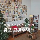 나도 고양이 생겼다 | 고영주택 후기 | 유기묘 50여마리가 모여있는 김포 고양이 카페