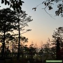 경희새벽한의원 이미지