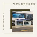 대현동물병원 | 대현동물병원 / 종합예방 [종합백신,광견병주사,코로나장염]